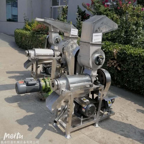 今日報價 三門峽2噸葡萄石榴螺旋榨汁機(jī)