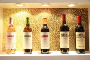 寧夏5款葡萄酒出口歐洲